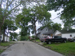 Marietta Tree Trimming